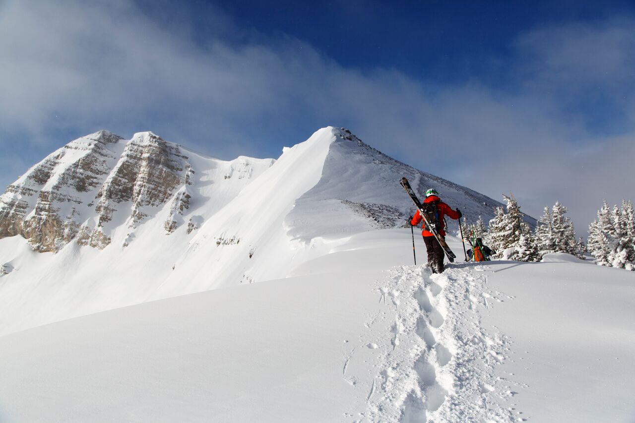 back-country-jackson-hole