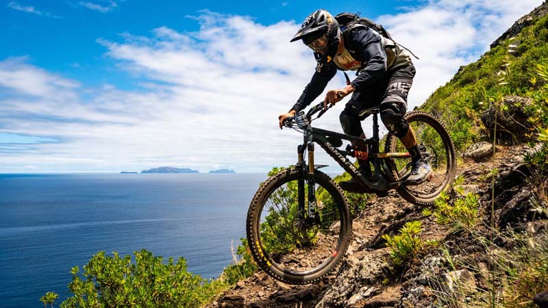 Transmadeira01-Madeira-Divulgacao