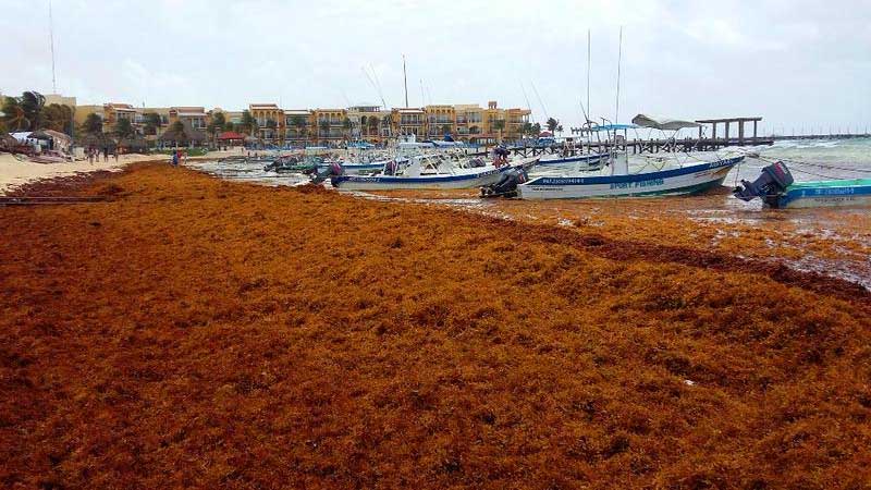quintana-roo