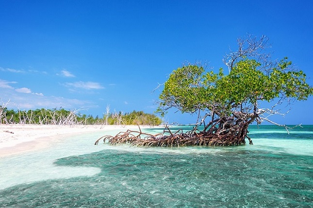 Cayo-Levisa-Cuba