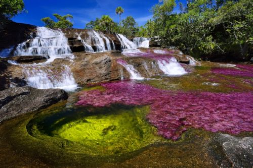 Turismo Natureza-Colômbia