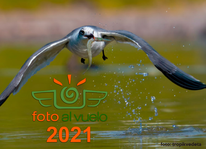 Foto-al-Vuelo2021