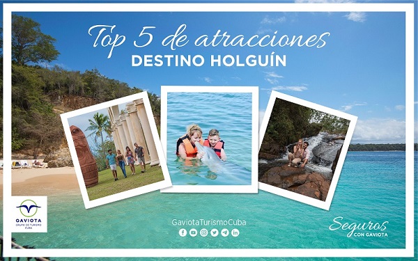 Top5-Gaviota