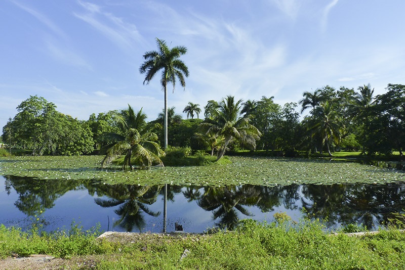 Pântranos-Cuba
