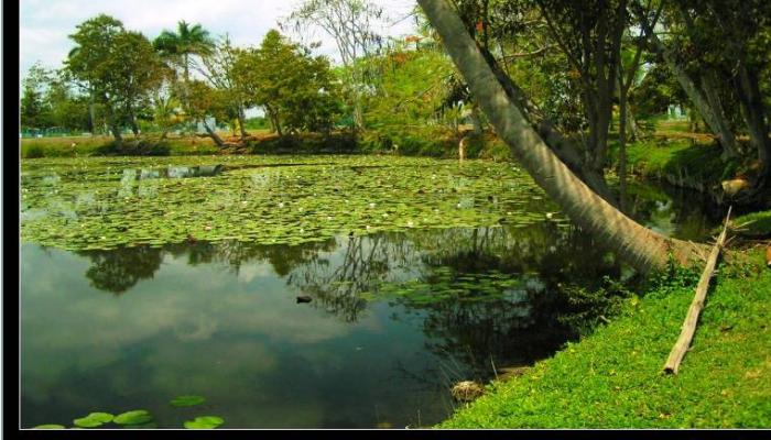 cianaga de zapata-Ramsar-Cuba )foto RHC)