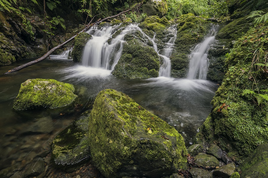 Levada do Rei - Credito Francisco Correia -Turismo da Madeira