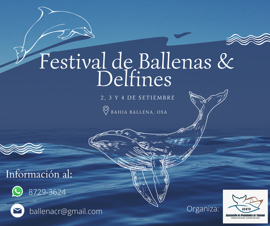 Festival Baleias e Golfinhos, Costa Rica (foto Facebook)