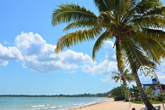 Playa LArga, Cuba (foto TripAdvisor)