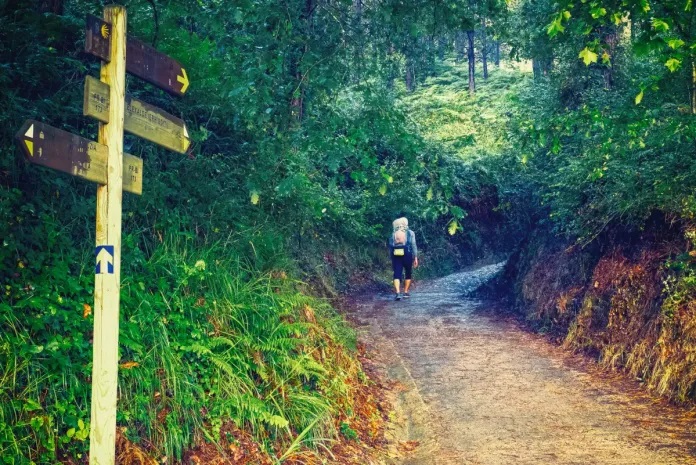 camino-olvidado-portada