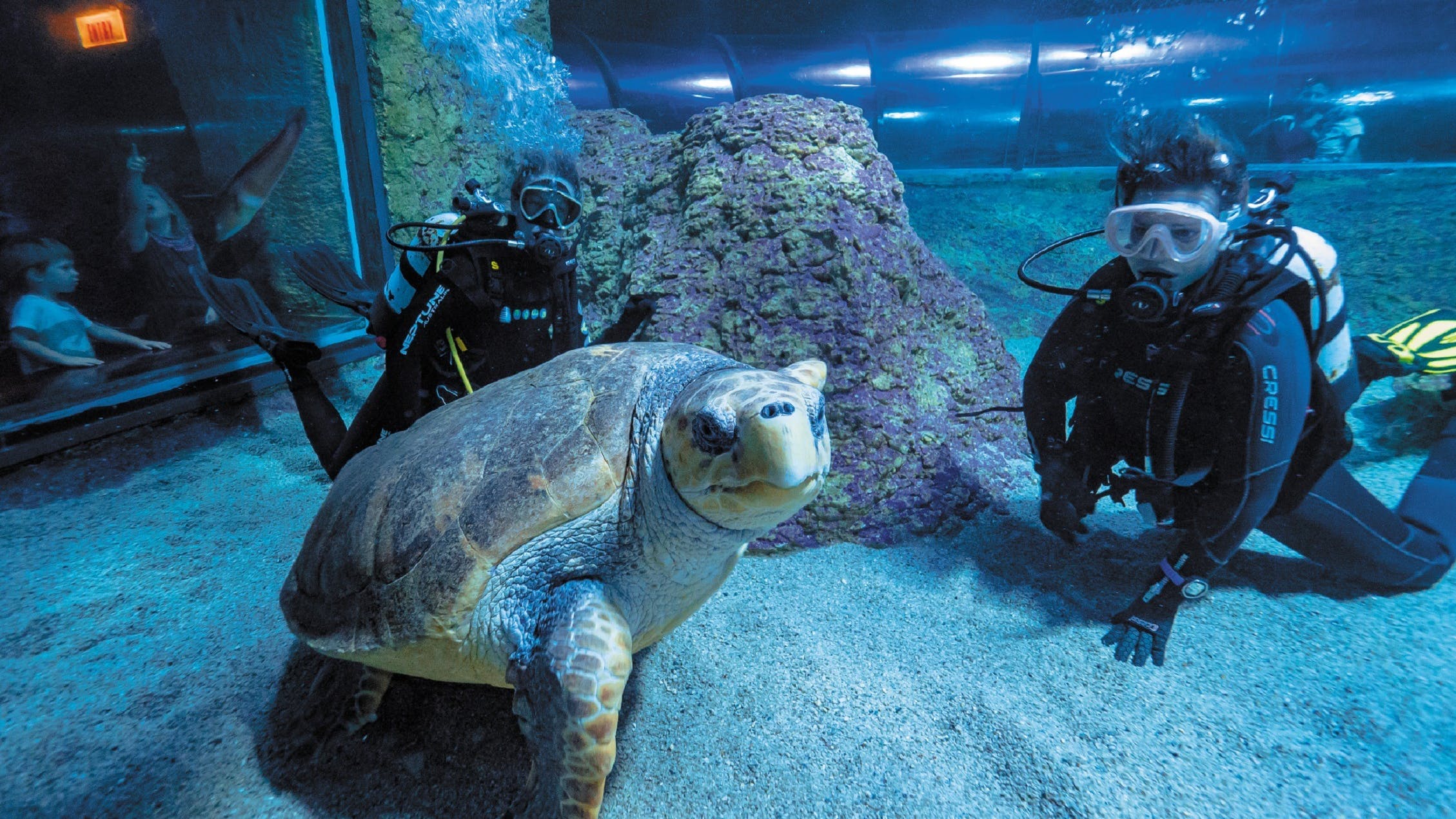 Acuario de Australia Occidental