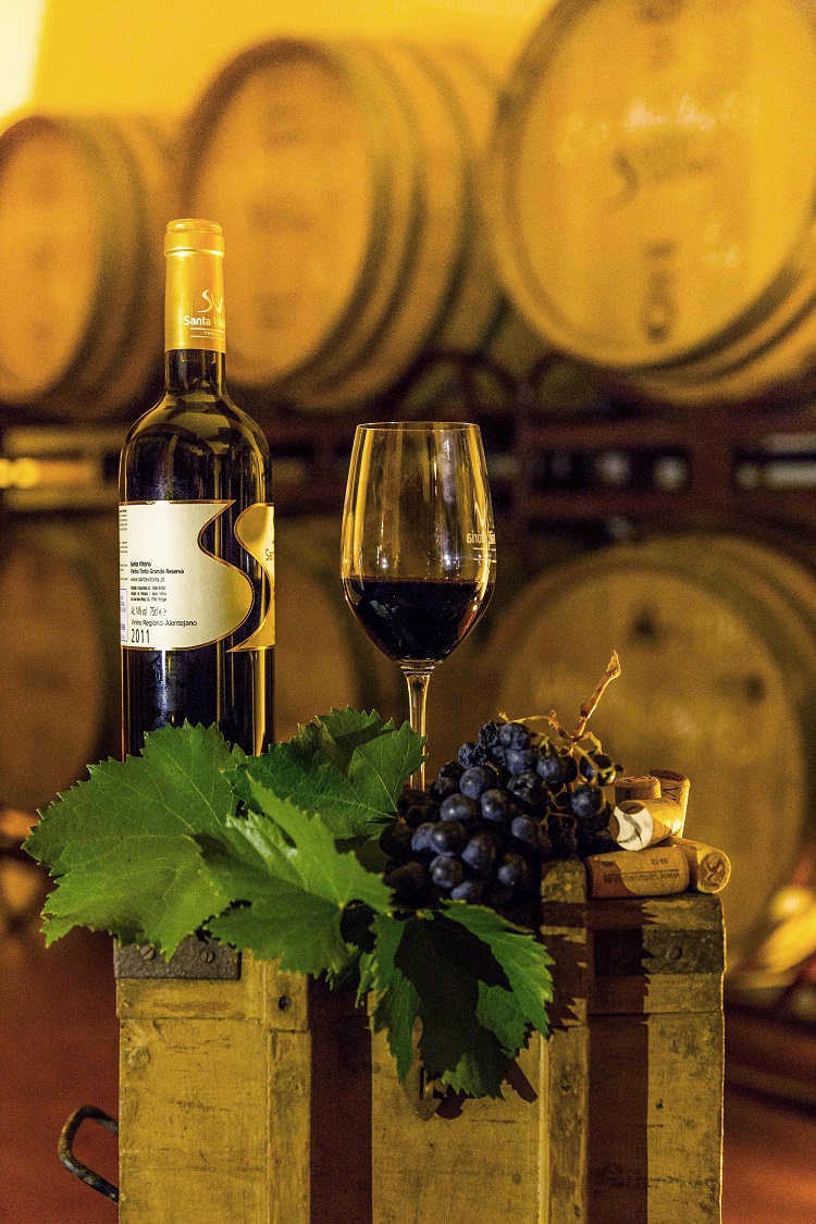 Adega Santa Vitória - Vinhos - Crédito Victor Carvalho