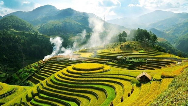 Belleza de Mu Cang Chai (Fuente VNA)