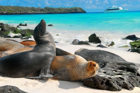 Galápagos (Foto GoRaymi)