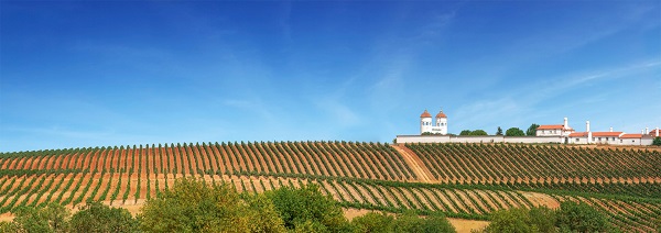 Herdade Abegoaria dos Frades (foto Abegoaria)