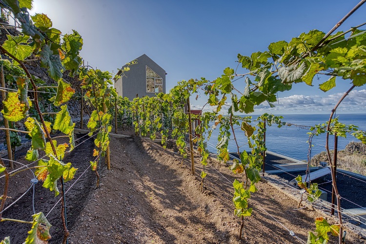 Hotel Socalco Nature-Ilha da Madeira