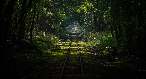 Hungria_tren