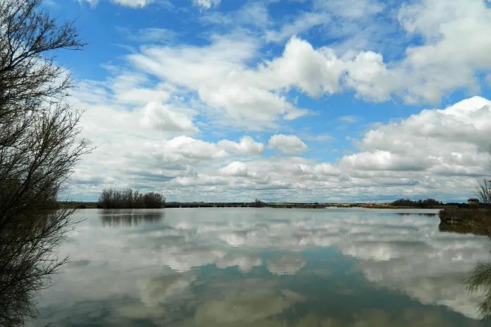 Lagunas de Villafáfila