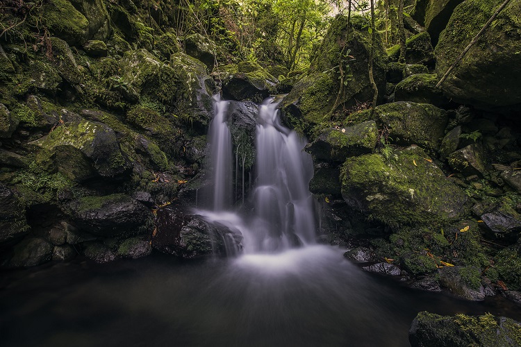 Levada dos Cedros - crédito Francisco Correia -Turismo da Madeira