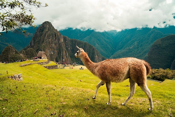Machu-Picchu-reabre-turismo-internacional