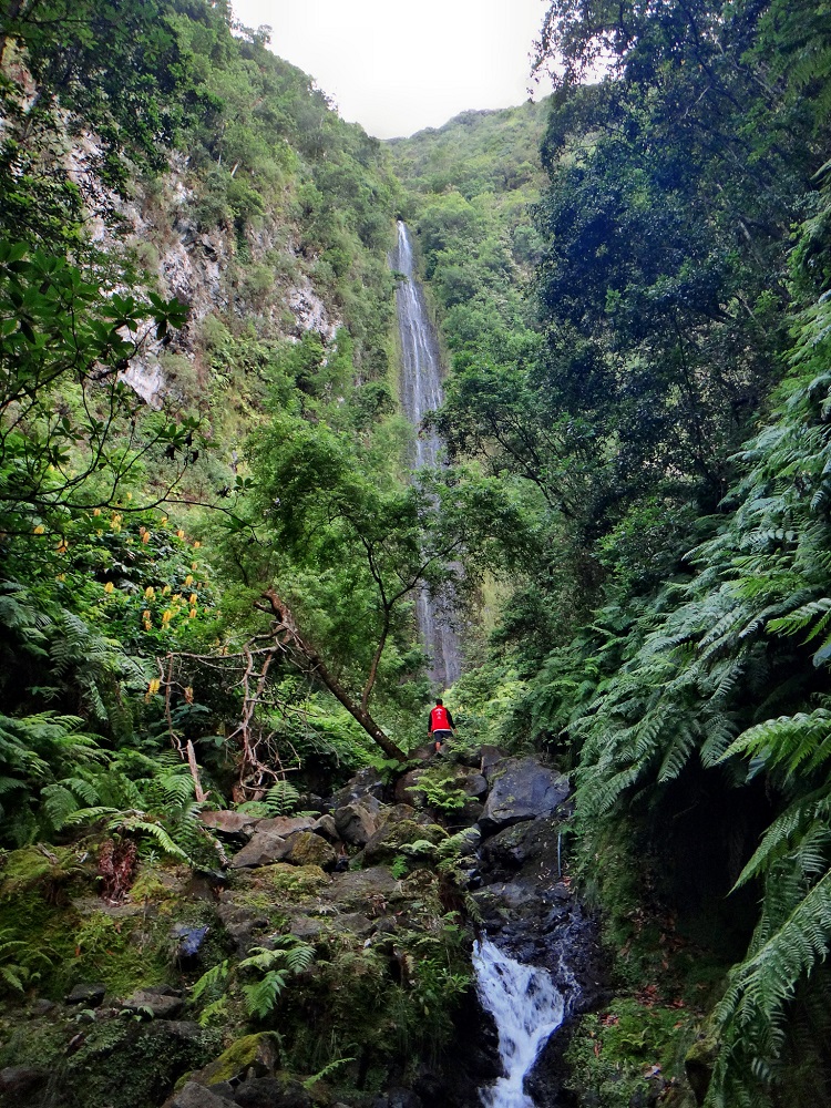 Madeira-Ribeira do Moinho©AnaFerreira