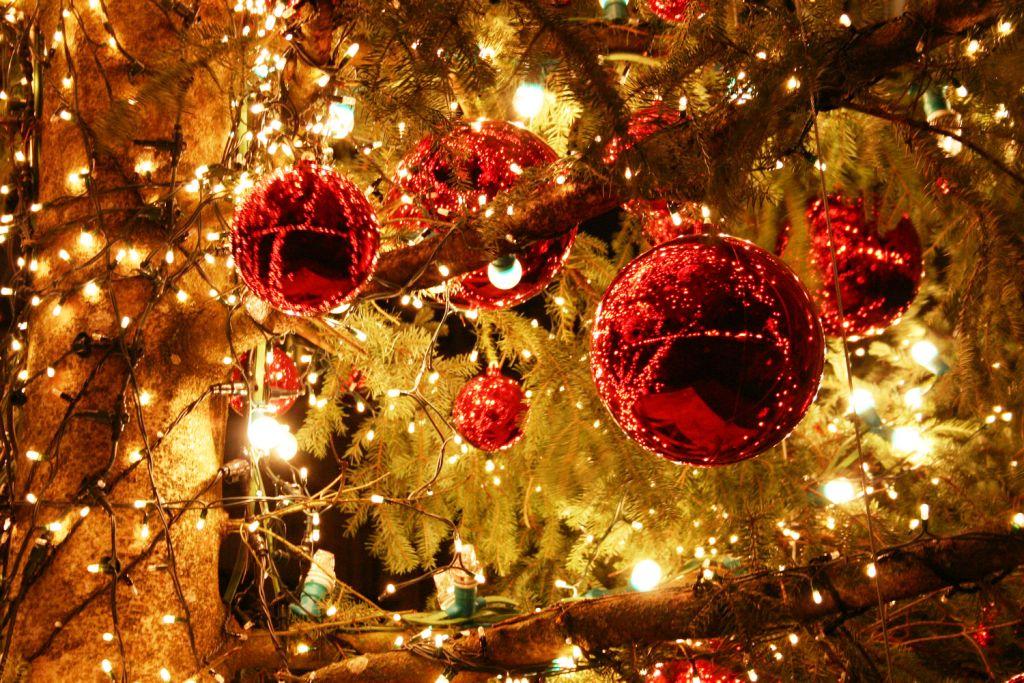 Navidad-Nova Dehli )foto Diario digital Nuestro Pais)