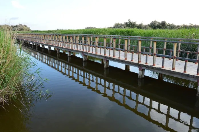 Parque Nacional Tablas de Daimiel