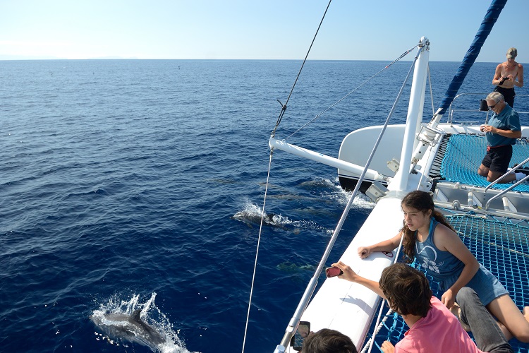 Passeio de barco para observar cetáceos - crédito Hugo Reis