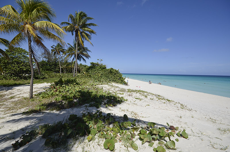 Playas de Cuba (15)(1)