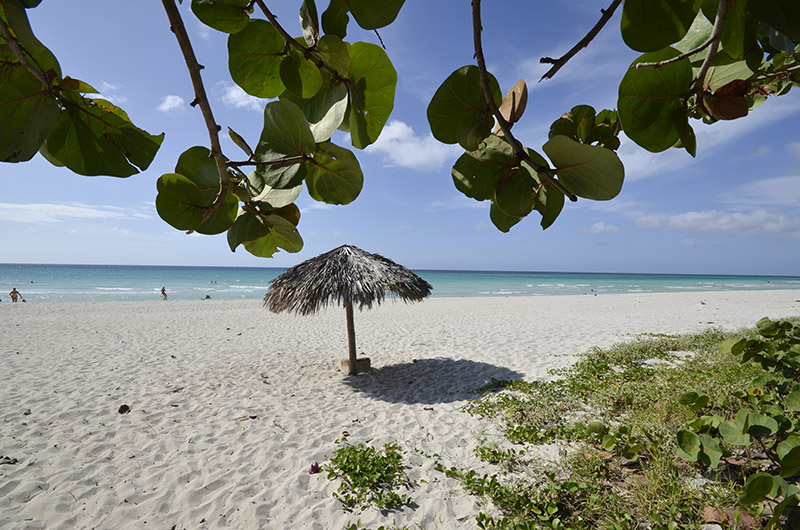 Playas de Cuba (16)(1)