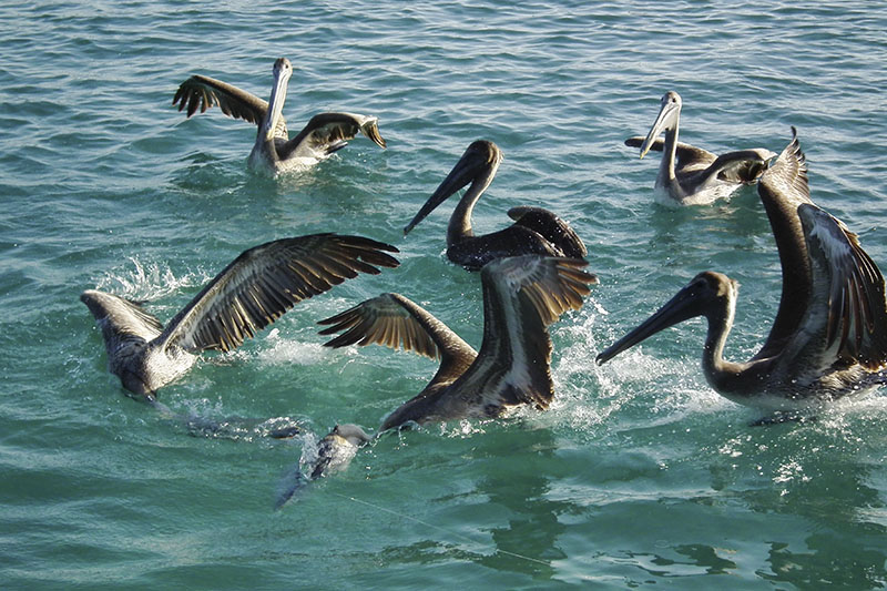 Playas de Cuba 21