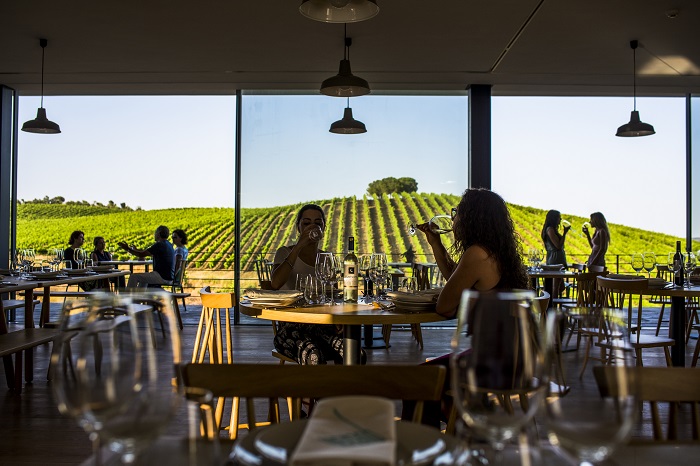 Prova de Vinhos na Quinta do Quetzal - CREDITO GONCALO VILLAVERDE