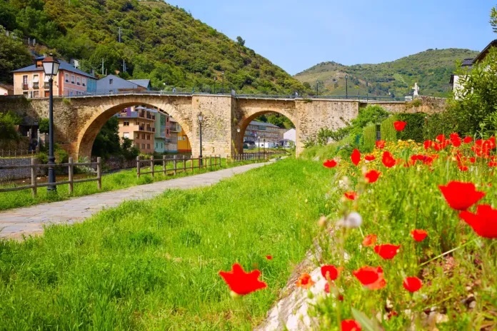 Puente sobre el río Burbia