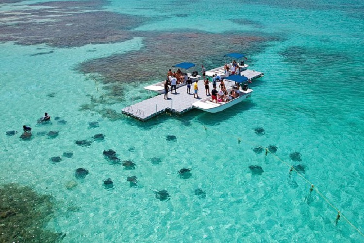 Stingray City, Antígua (foto Viator)