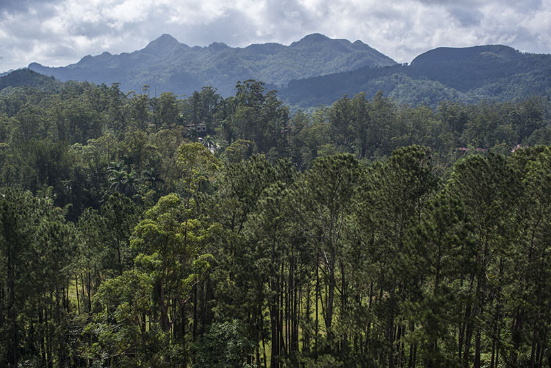 Topes de Collantes (14)