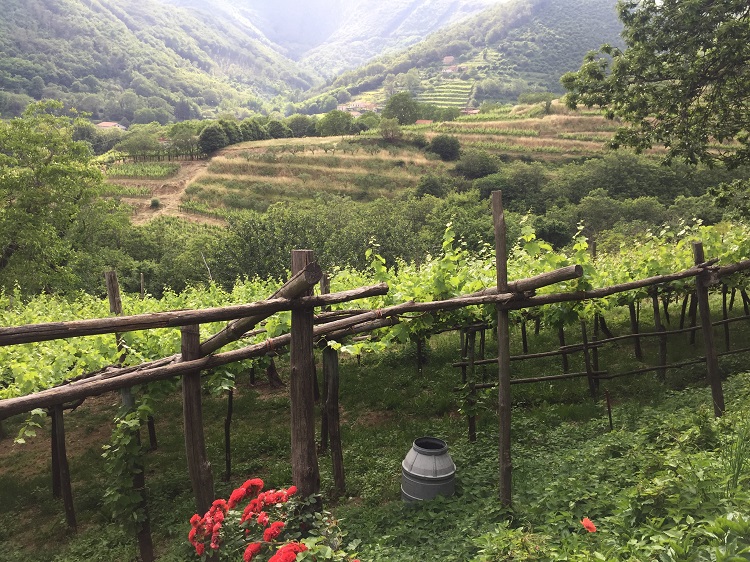 Vinicola em Amalfi_Credito Tour na Itália