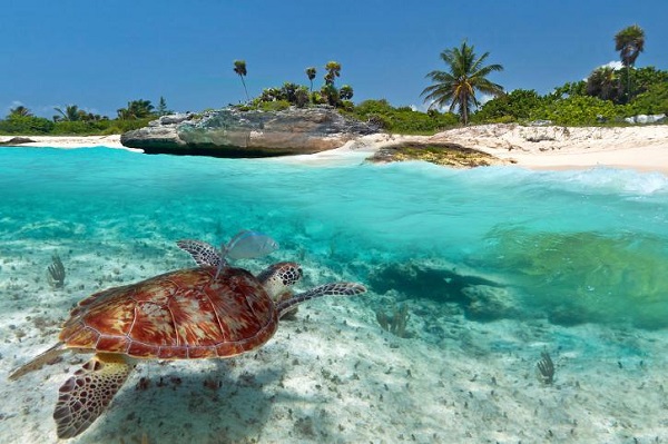 isla-mujeres-un-paraiso-en-el-caribe-mexicano (VIX)