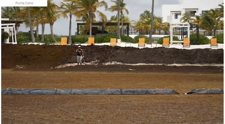 sargazo mexico (tourinews)