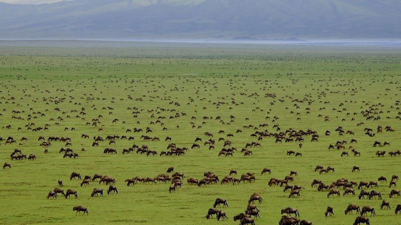 serengeti-national-park