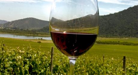 Ruta del Vino e atrações chilenas na mira do FESTURIS