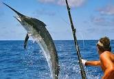 Já começou Torneio Hemingway de pesca da agulha em Cuba