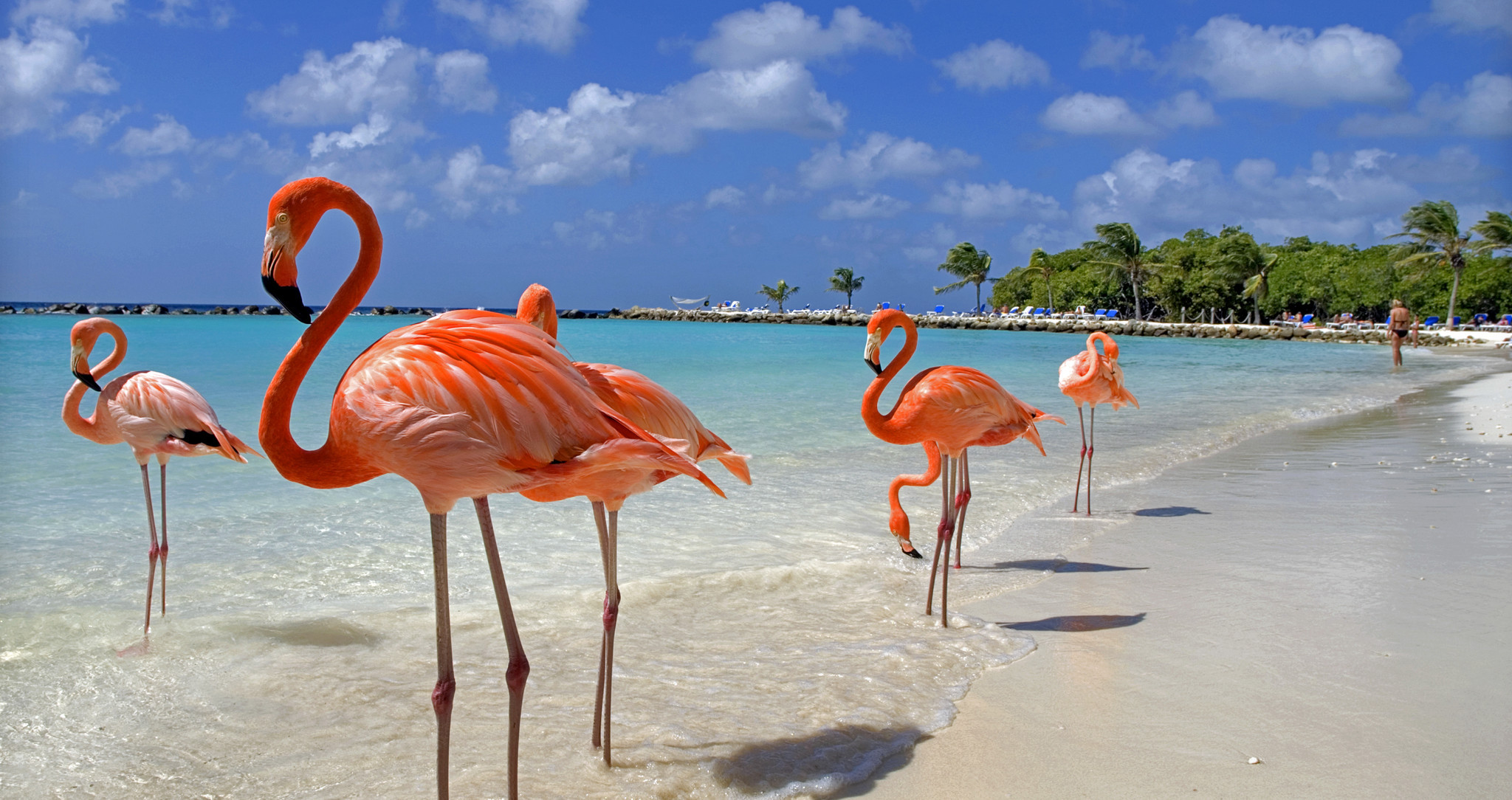 Aruba e a OMT anuncia a Conferência Felicidade Internacional 360