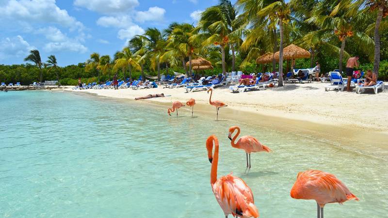 Solférias anuncia programa com destino a Aruba