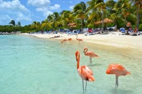 Aruba recebe 24,7 mil turistas brasileiros em 2014