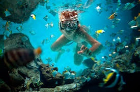 2015, o melhor ano turístico para Cancun e Tesouros do Caribe Cancun e Tesouros do Caribe conseguem melhor ano turístico em 2015