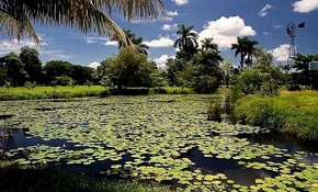 Ciénaga de Zapata, Matanzas, Cuba Cuba promove novo lugar de patrimônio mundial natural