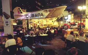 Celebra Habana Café reconhecimento de TripAdvisor