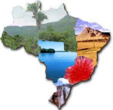 Brasil, bom destino para o ecoturismo O ECOTURISMO aumentou um 14% no Brasil em 2014
