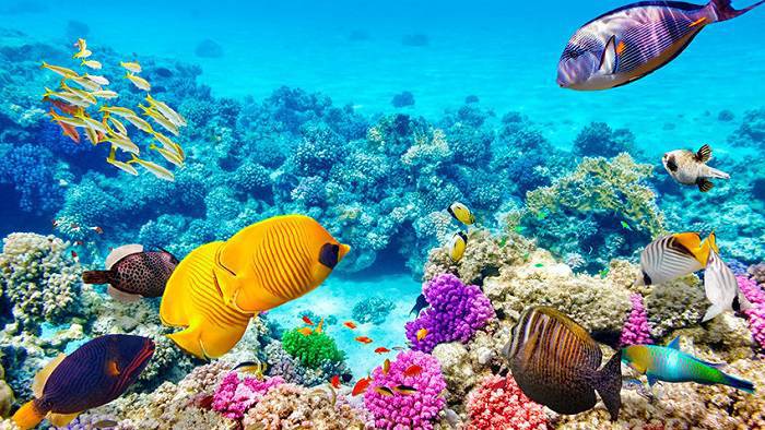 7 lugares para visitar antes de que eles desapareçam