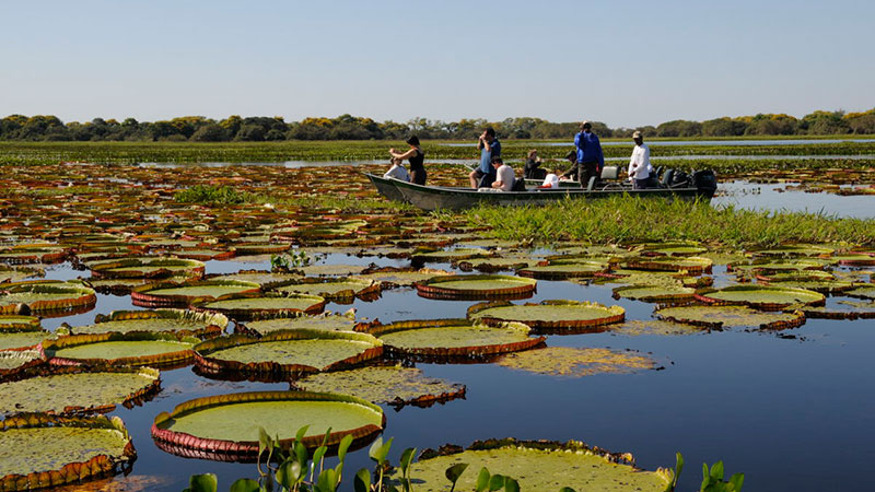 Embratur leva hosted buyers da WTM-LA para conhecer o Pantanal