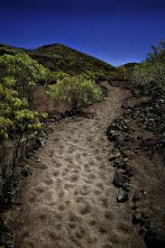 Tenerife Walking Festival a cita dos caminhantes em 2015